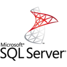 microsoft sql server integration